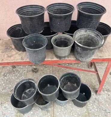 Bitkilər üçün dibçəklər: Plastik,kauçuk gül və dibçək qabları satılır. Cəmisi 60 — 4