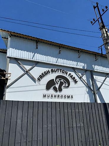 Грибы: Производство Fresh Button Farm Приглашает на работу сборщиков урожая ! — 4