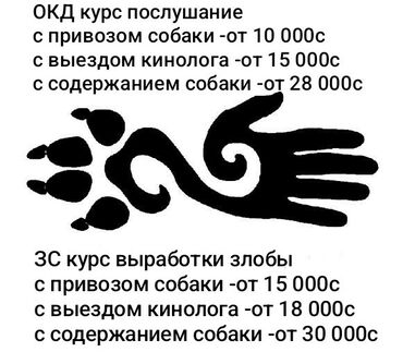 вальтер для собаки: Кинолог, дрессировка собак, коррекция поведения, выгул собак. ОКД -