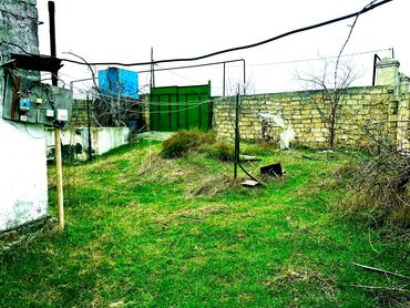 Математика: Баку, Пос. Нардаран, 65 м², 2 комнаты