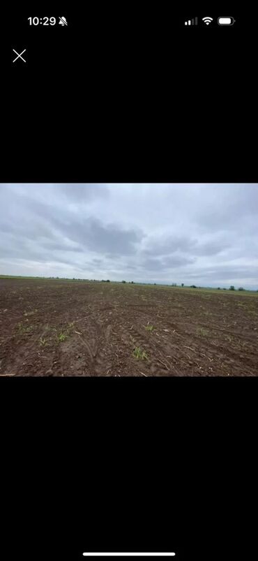 аренда дома на иссык куле: Для сельского хозяйства