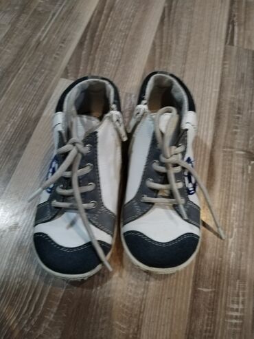 Cipele: Plitke cipele, Pavle, 24