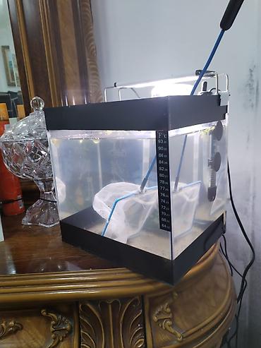 akvarium isiq: Dördbucaq akvarium, Boş, 12 l — 3
