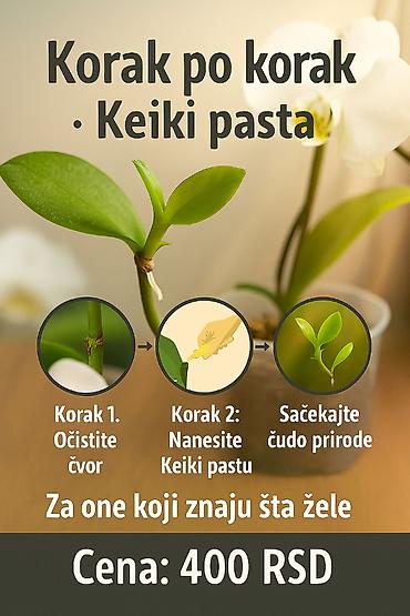 vozic za cvece: Keiki pasta za razmnozavanje i produzetak cvetanja vaše — 8
