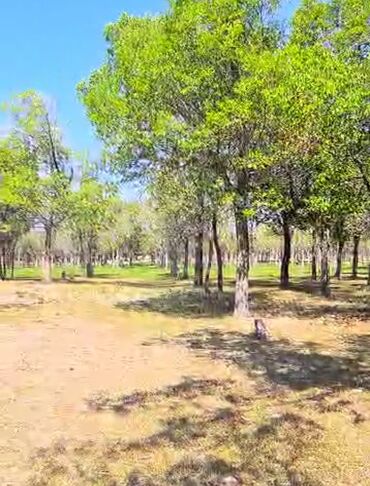 Продажа участков: 300 соток, Для строительства — 11