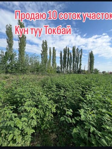 Продажа участков: 10 соток, Для строительства, Красная книга
