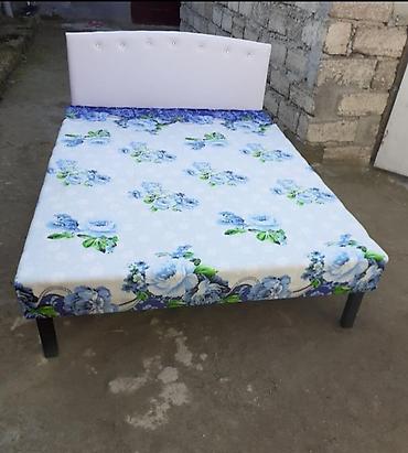 Kravat 
Taza