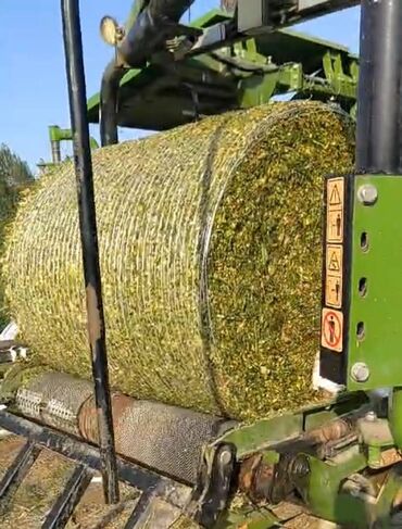 inek yemleri: Silos Gargadali Geki olarag satilirpacka olarag da var 500 kg yaxin