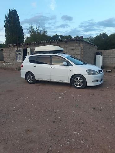 бус сапок обмен: Toyota Ipsum: 2003 г., 2.4 л, Автомат, Бензин, Минивэн — 1