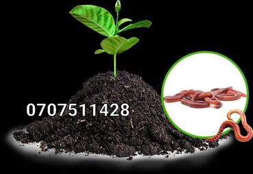 soxulcan gübrəsi qiyməti: Biohumus bioloji kübrə