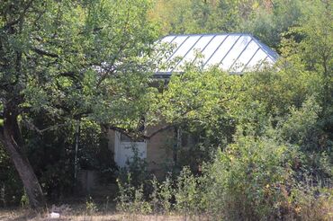 Torpaq sahələrinin satışı: 2000 sot, Tikinti, Mülkiyyətçi, Kupça (Çıxarış), Bələdiyyə -da lalafo.az — 19 Torpaq sahələrinin satışı: 2000 sot, Tikinti, Mülkiyyətçi, Kupça (Çıxarış), Bələdiyyə — 19