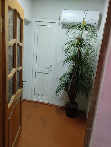 Uzunmüddətli kirayə evlər: 60 kv. m, 1 otaqlı, İnternet, Telefon, Qaz — 15