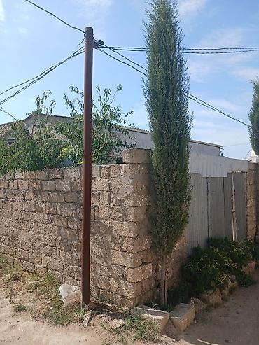 yeni gunesli kiraye evler heyet: 2 otaqlı həyət evi - Plan: 2 ayrı yataq otağı/otaq, zal, mətbəx və — 6