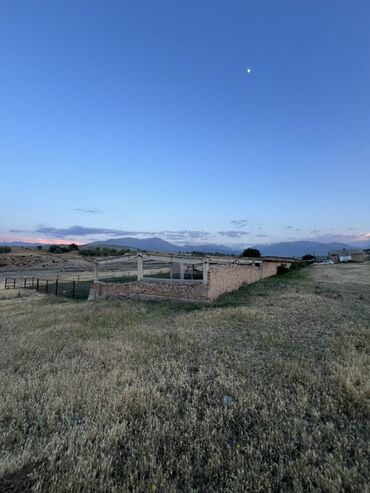 Коровы, быки: Продается кошара в селе Мураке, Московский район, территория участка 1 — 6