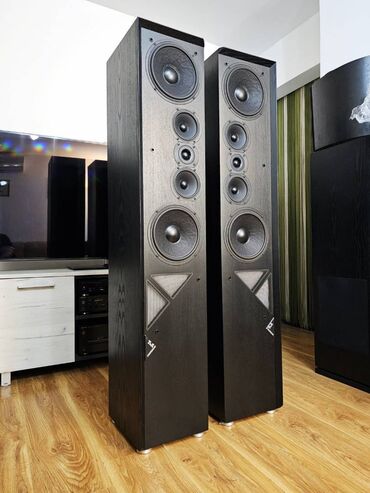 Zvučnici i stereo sistemi: T+A Criterion T 160 Vifa, D'Appolito Transmission Line Pravi High End — 4