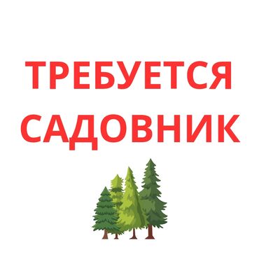 здаю в аренду кафе: Требуется работник в пансионат в селе Тамчы, уход за территорией