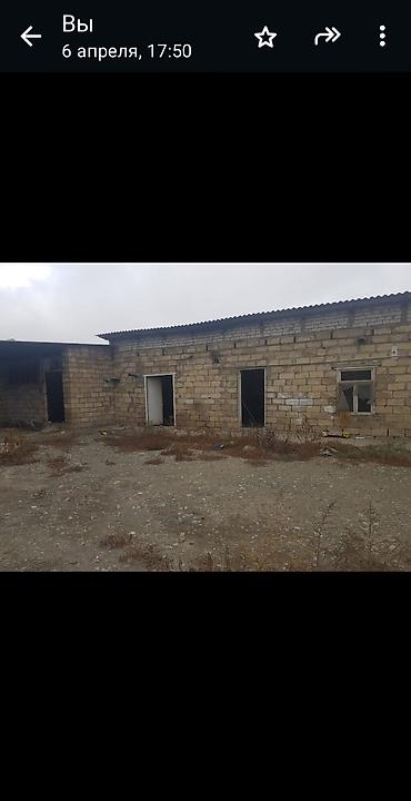 ferma satan: 16 sot, Biznes üçün, Mülkiyyətçi, Kupça (Çıxarış), Bələdiyyə — 2