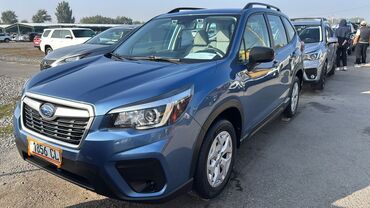 Subaru: Subaru Forester: 2019 г., 2.5 л, Вариатор, Бензин, Кроссовер — 9