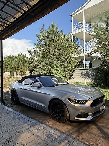 беспроводной карплей: Ford Mustang: 2017 г., 2.3 л, Автомат, Бензин, Кабриолет — 3