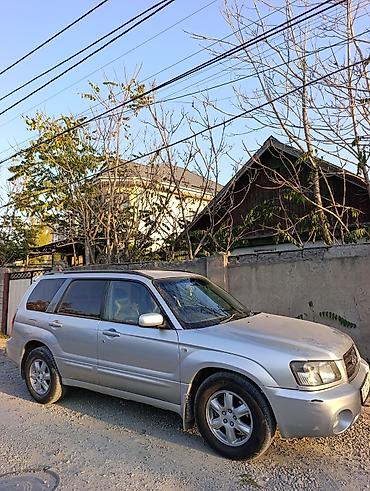 subaru forester sti 2004: Subaru Forester: 2004 г., 2 л, Автомат, Бензин, Кроссовер — 1