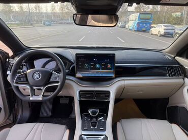 BYD: BYD Song Plus: 2022 г., 1.5 л, Автомат, Гибрид, Кроссовер — 8