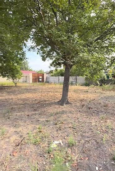 bine atciliq torpaq satilir: 10 sot, Tikinti, Barter mümkündür, Kupça (Çıxarış) — 8
