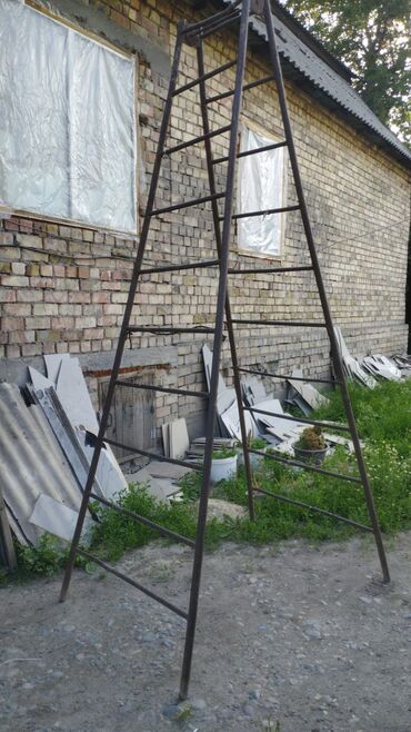 пластик кафел: Лестницы