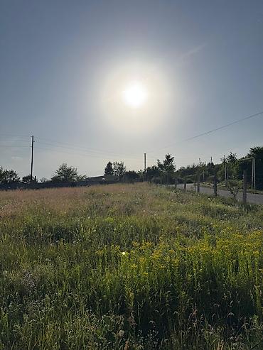 bakıda: 39 sot, Tikinti, Mülkiyyətçi, Kupça (Çıxarış) — 2