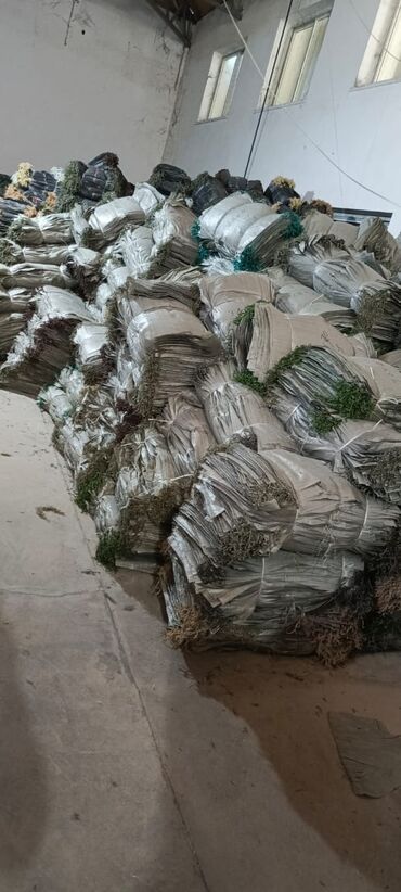 Başqa xidmətlər: Məhsul: Polipropilen torbalar. Xüsusiyyətlər: - Material: möhkəm PP — 8