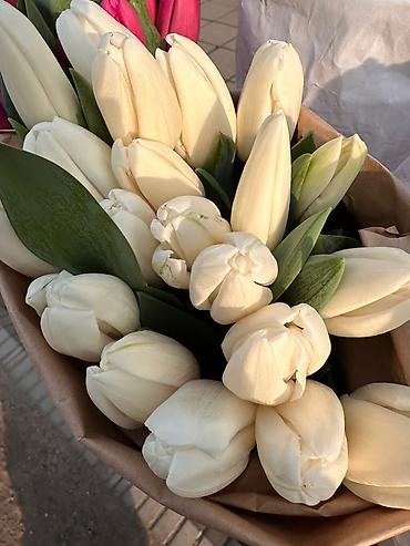 Букеты из живых цветов: Тюльпаны срезанные — букетные сборки. - Варианты окраски: насыщенный — 18