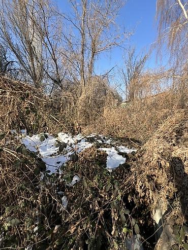 Продажа времянок: Продается дом/участок (времянка) в районе Аламединского рынка, по — 15