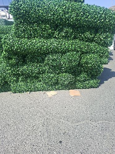 Məhsul: Süni yaşıl hasar panelləri (hedge/boxwood tipli dekorativ