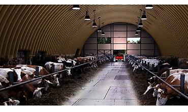 Строительство под ключ: 3-5 лет опыта — 4