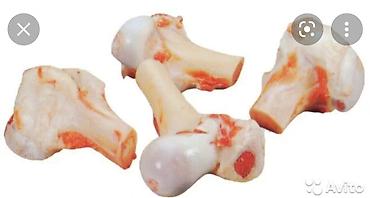 Говядина: Мясо Халал — 16