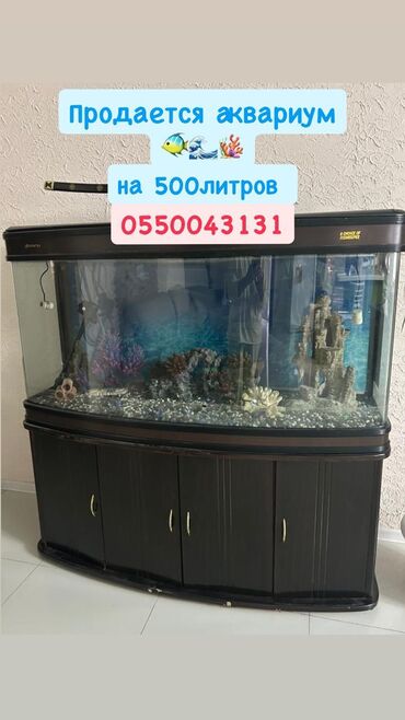аквариум цена: Аквариум 500 литров