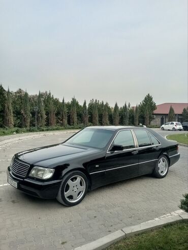 боковое зеркало рекс: Mercedes-Benz S-Class: 1994 г., 5 л, Автомат, Бензин, Седан