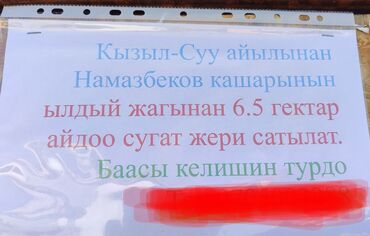 участок дача белек: 6 соток, Айыл чарба үчүн