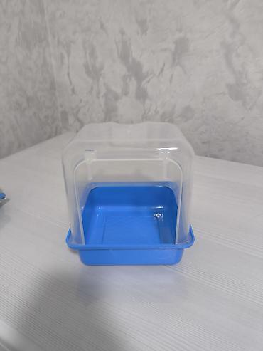 ucuz quşlar: Quşlar uçun cimmek ucun hamam — 1