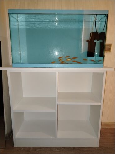 akvarium işıqları: Dördbucaq akvarium, Boş, 75 l, Ünvandan götürmə, Ödənişli çatdırılma, Rayonlara çatdırılma