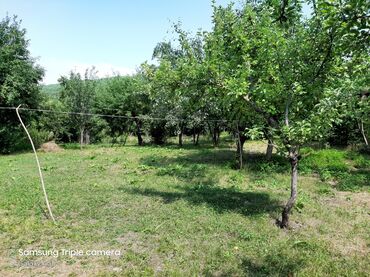 Torpaq sahələrinin satışı: 10 sot, Tikinti, Mülkiyyətçi, Kupça (Çıxarış) -da lalafo.az — 6 Torpaq sahələrinin satışı: 10 sot, Tikinti, Mülkiyyətçi, Kupça (Çıxarış) — 6