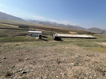 Куплю земельный участок: 48 соток — 6