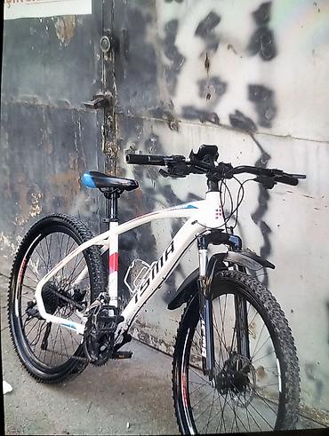 İdman velosipedləri: İdman/dağ velosipedi – ISMA Falcon - Çərçivə: yüngül alaşımlı, 29” — 1