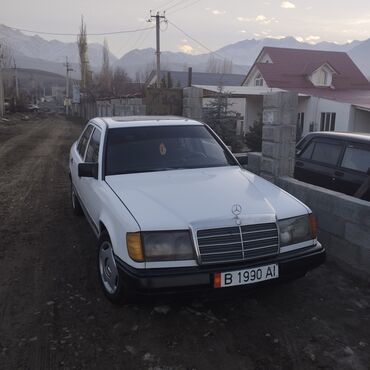 штатная магнитола мерс: Mercedes-Benz 250: 1988 г., 2.9 л, Механика, Дизель, Седан