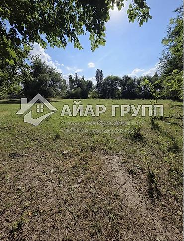 ысык куле: 40 соток, Курулуш — 1