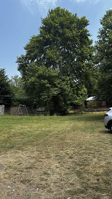 xudaferin korpusu cekmek: 97 sot, Biznes üçün, Mülkiyyətçi, Kupça (Çıxarış), Bələdiyyə, Müqavilə — 6