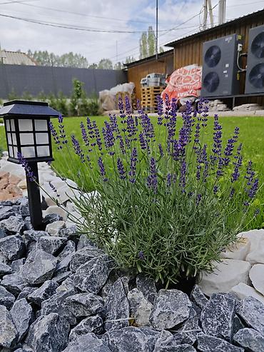 Ремонт под ключ: АВТОПОЛИВ и ОЗЕЛЕНЕНИЕ Ландшафтный дизайн ### Вашего — 24