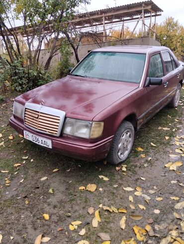 уна тетиктер: Mercedes-Benz W124: 1988 г., 2.3 л, Механика, Дизель, Седан