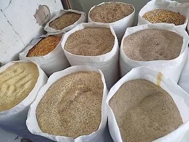 продаю кукурузу: Жемдин бардык турлору бар заказ кылсаныздар салып жиберебиз — 2