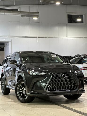 купля продажа авто в бишкеке: Lexus NX: 2023 г., 2.5 л, Вариатор, Бензин, Кроссовер