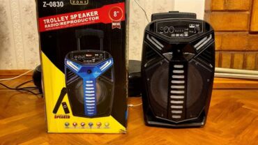 Mikrofonlar: Kolonka, Növ - Portativ, rəng - Qara